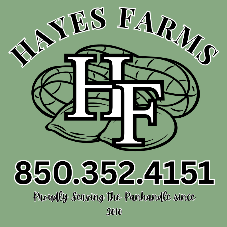 Hayes Farms Green Peanuts